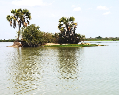 Selous Game Reserve, the Rufiji River